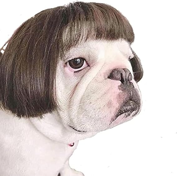 Pet Dog Cosplay Wig, Halloween Costume Headwear for Dogs & Cats