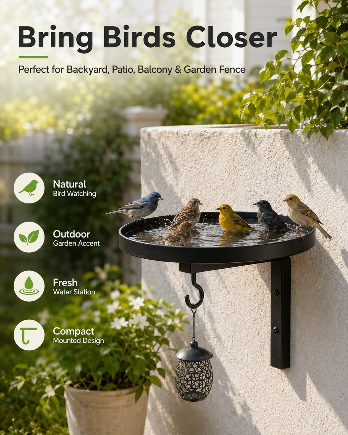 Wall-Mounted Metal Bird Bath With Feeding Hook