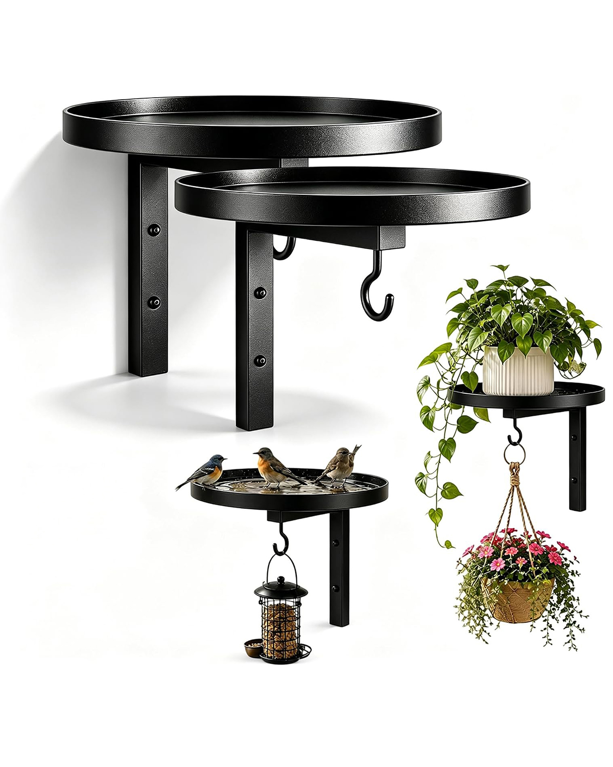 Wall-Mounted Metal Bird Bath With Feeding Hook
