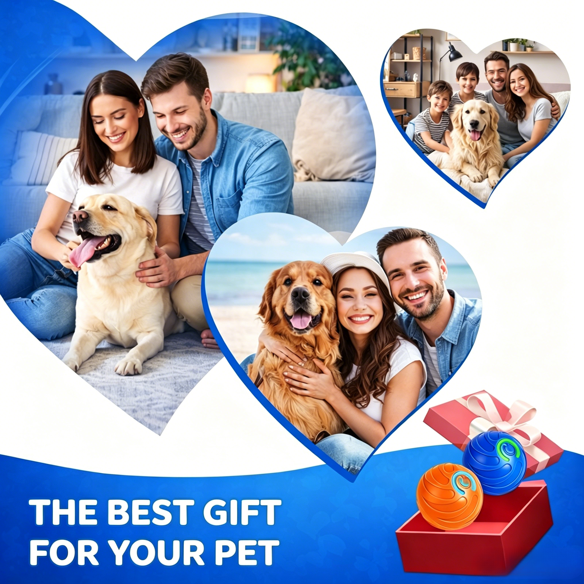 Dog Active | Convert Energy Into Fun