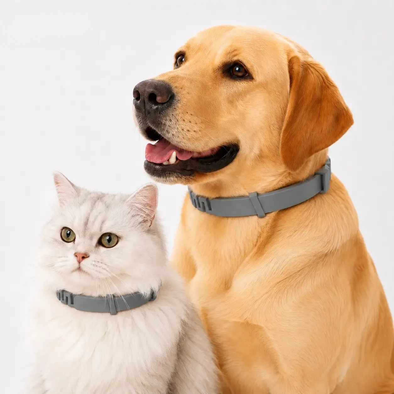 🔥Lightweight Fresh Scent Anti-Mosquito Pet Collar | Universal for Dogs & Cats
