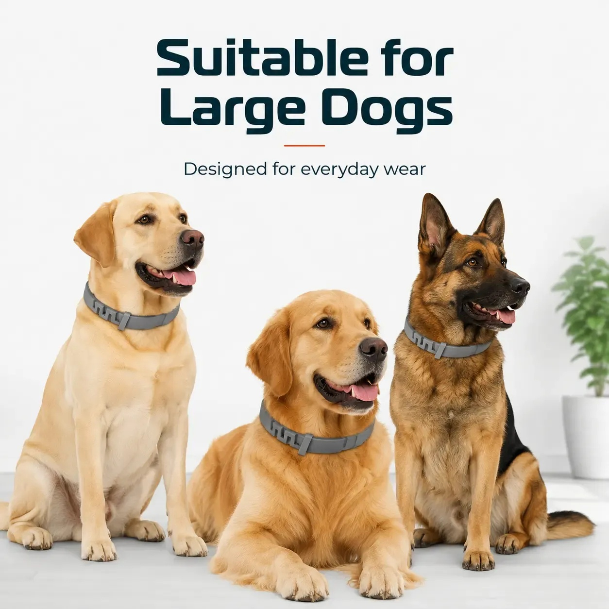 🔥Lightweight Fresh Scent Anti-Mosquito Pet Collar | Universal for Dogs & Cats