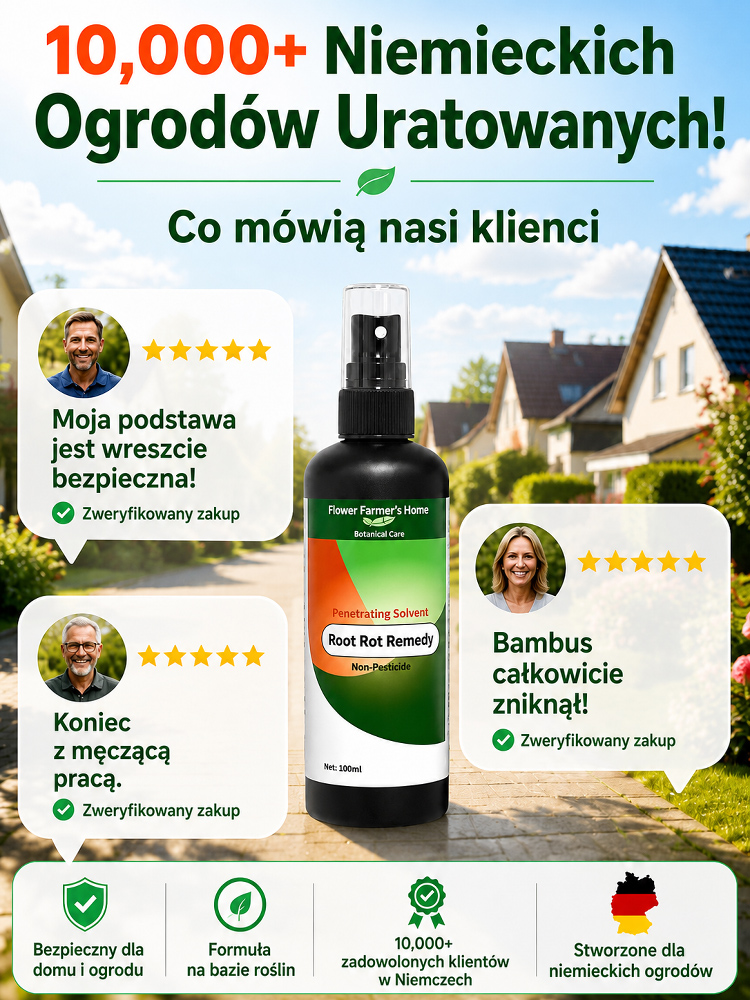 【Bez kopania!】 Nano-rozpuszczalnik do korzeni – niszczy pnie w 7 dni (Koncentrat 100ml)