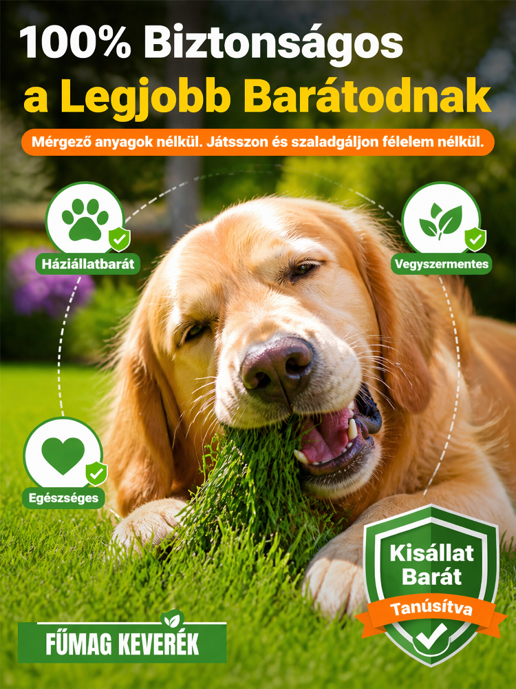 🌱7 nap alatt növő fűmag - Állatbarát, Négy Évszakos Pázsit & Biztonságos Utánvét, 0 Ft Szállítás