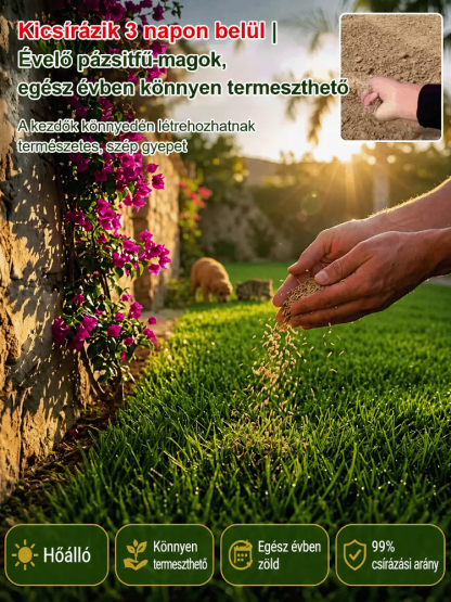 🌱7 nap alatt növő fűmag - Állatbarát, Négy Évszakos Pázsit & Biztonságos Utánvét, 0 Ft Szállítás