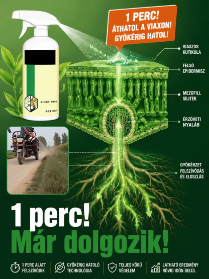 🔥 Profi Gyökérirtó Permet (1/2/3 db-os csomag) | 50% Akció + Ingyenes Szállítás + Utánvét!
