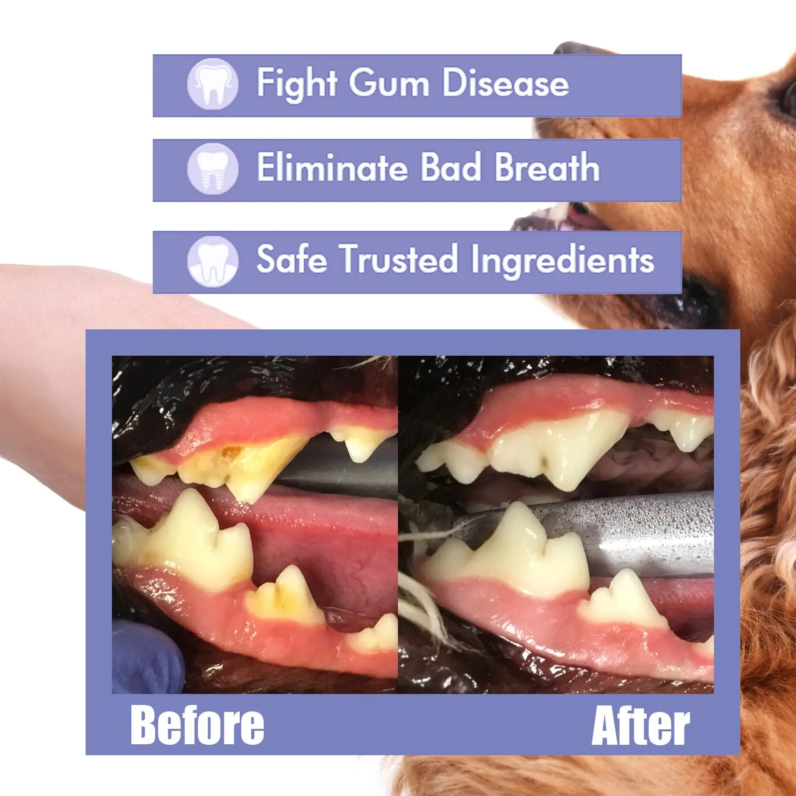 Pet Dental Care Breath Spray