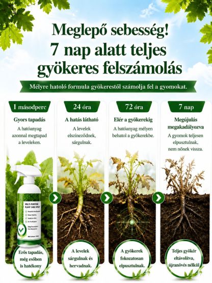 Multi-Purpose erős gyökérirtó permet (99,9%-os hatás)