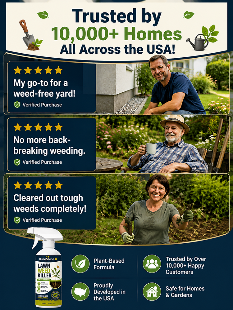 Effortless Home Weed Remover for Courtyard