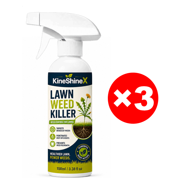 Effortless Home Weed Remover for Courtyard