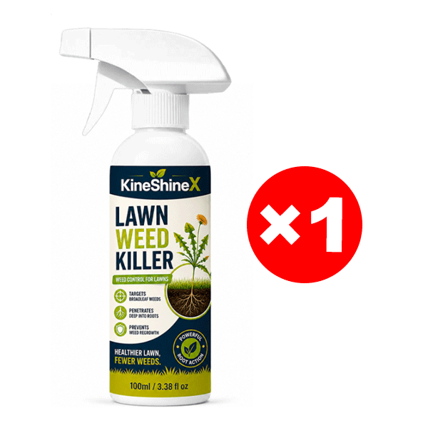 Effortless Home Weed Remover for Courtyard