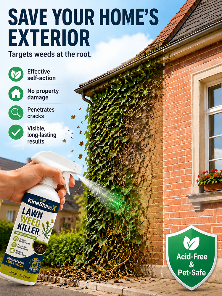 Effortless Home Weed Remover for Courtyard