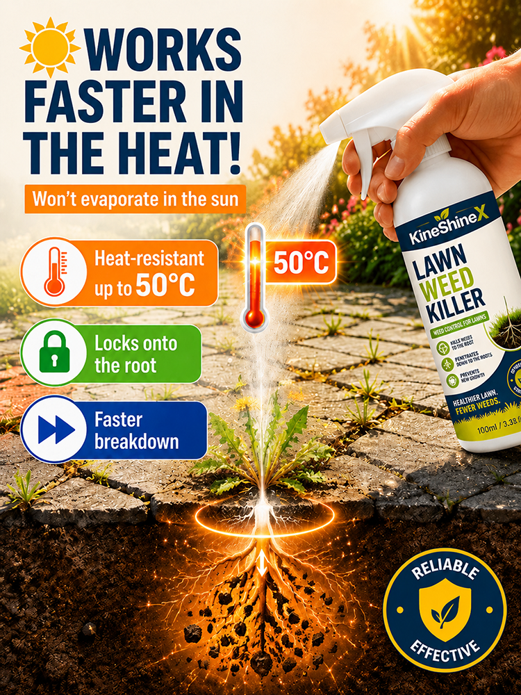 Effortless Home Weed Remover for Courtyard