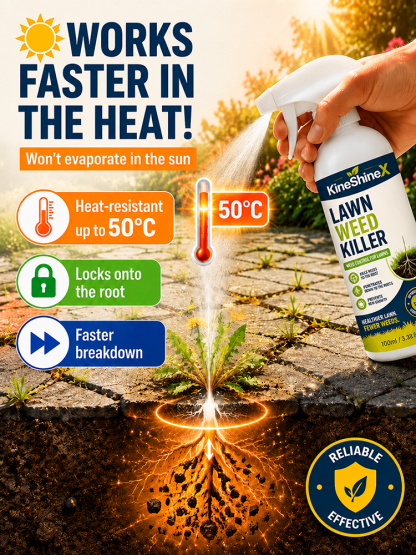 Effortless Home Weed Remover for Courtyard