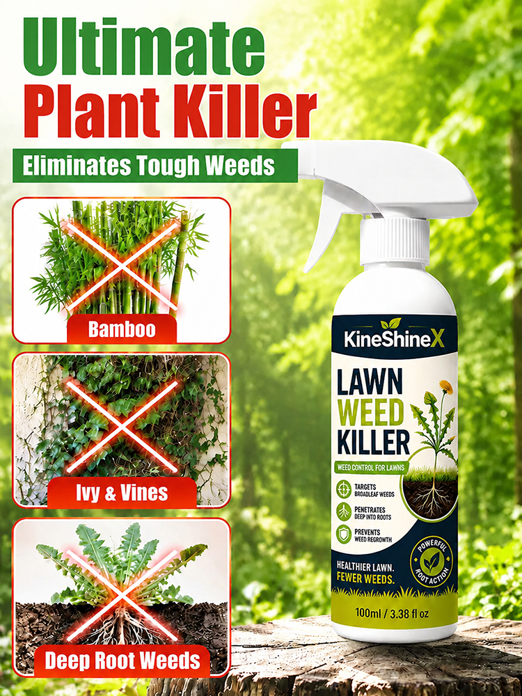 Effortless Home Weed Remover for Courtyard