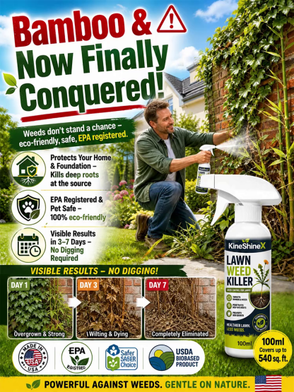Effortless Home Weed Remover for Courtyard