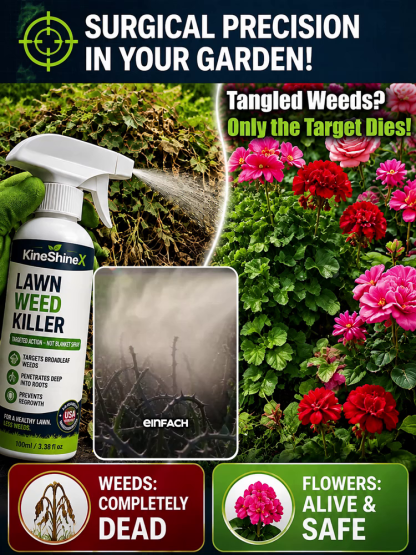 Effortless Home Weed Remover for Courtyard