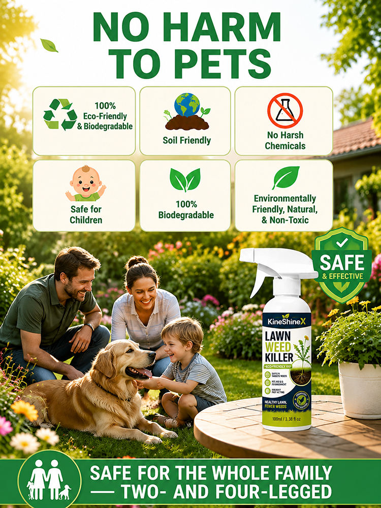 Effortless Home Weed Remover for Courtyard