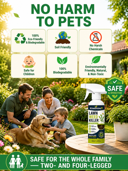 Effortless Home Weed Remover for Courtyard