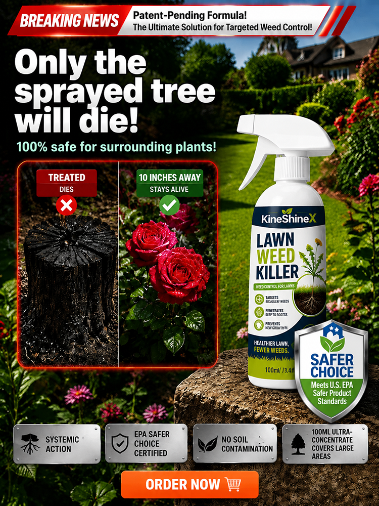 Effortless Home Weed Remover for Courtyard