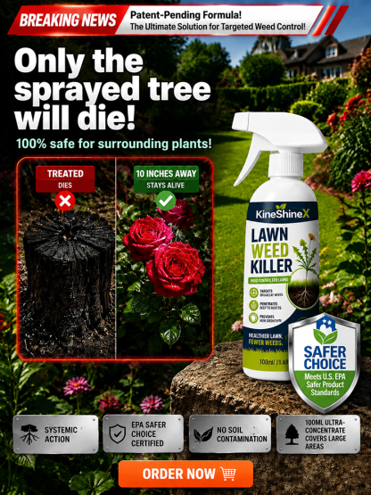 Effortless Home Weed Remover for Courtyard