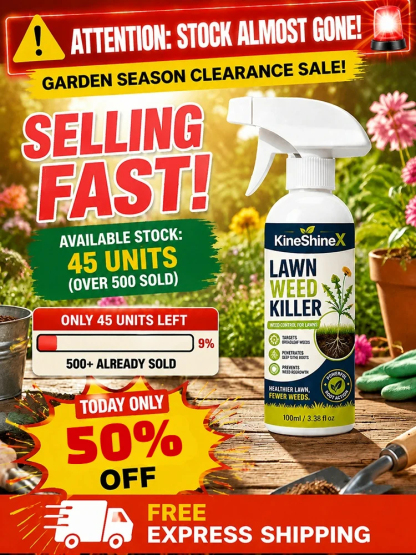 Effortless Home Weed Remover for Courtyard