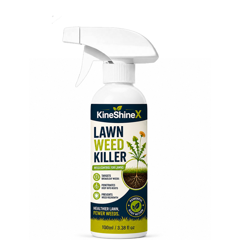 Effortless Home Weed Remover for Courtyard