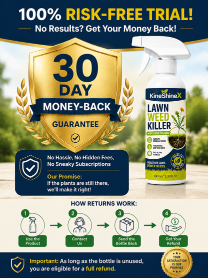 Effortless Home Weed Remover for Courtyard