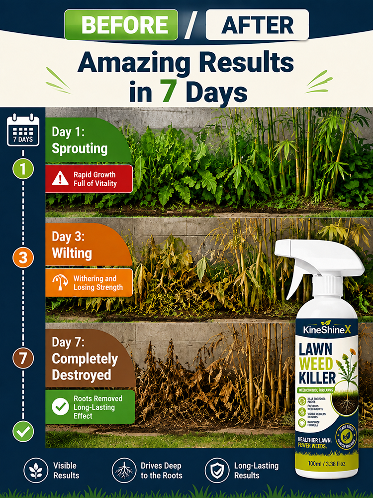 Effortless Home Weed Remover for Courtyard