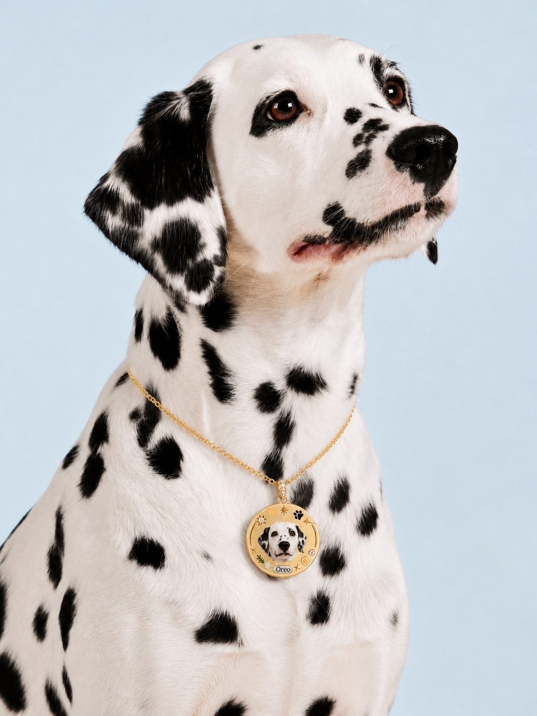 Custom Pet Portrait Necklace