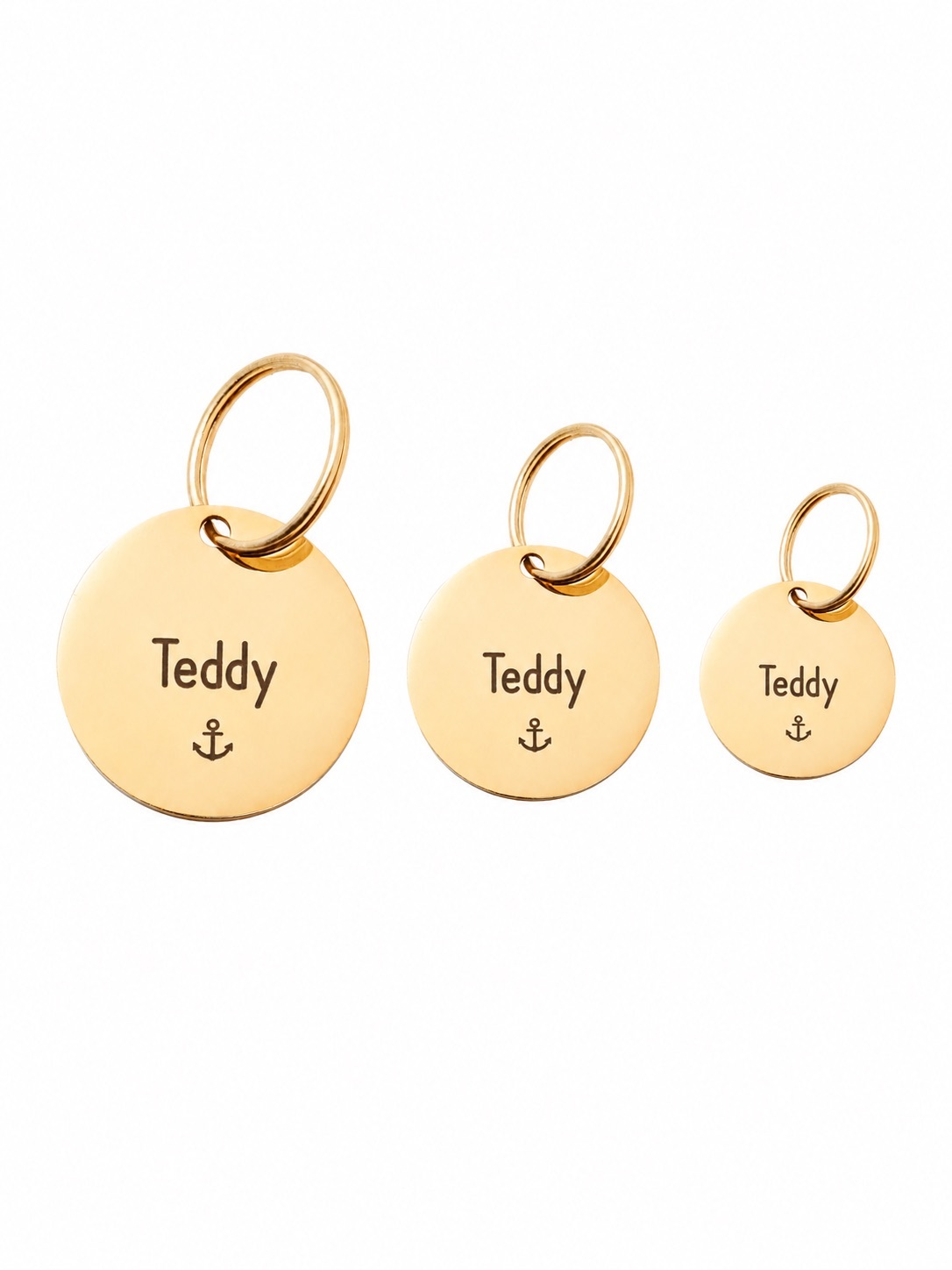 Circle Pet ID Tag: Anchor Icon