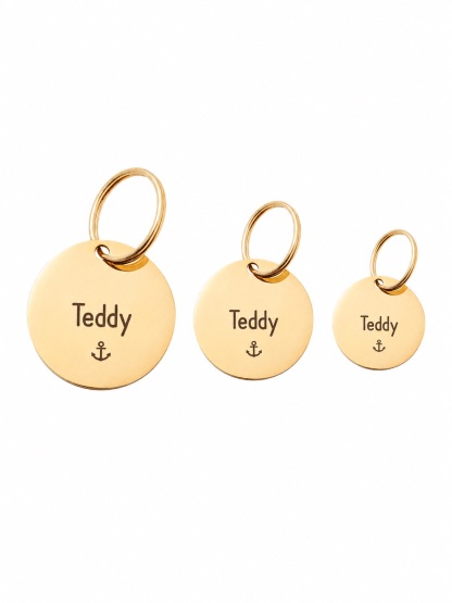 Circle Pet ID Tag: Anchor Icon