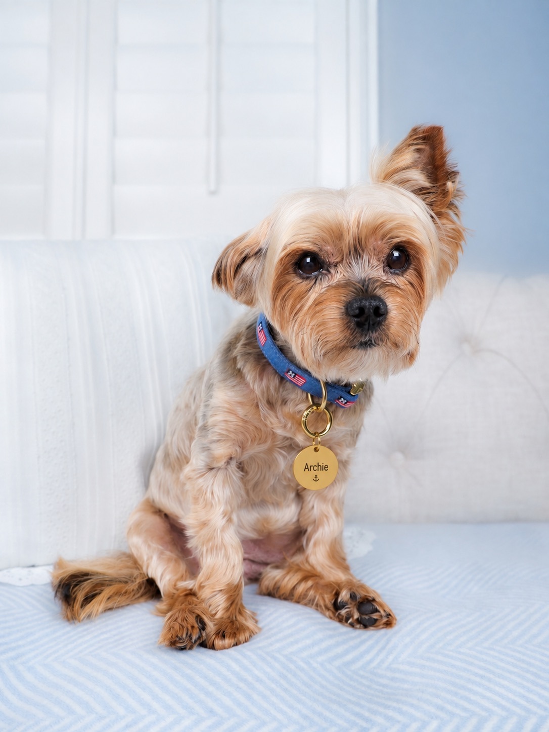Circle Pet ID Tag: Anchor Icon