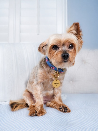 Circle Pet ID Tag: Anchor Icon