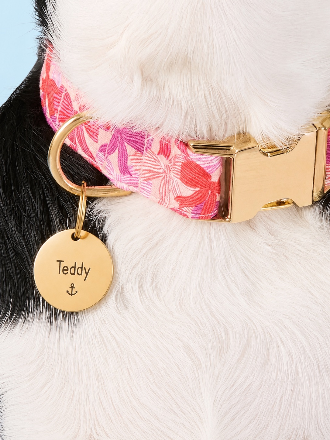 Circle Pet ID Tag: Anchor Icon