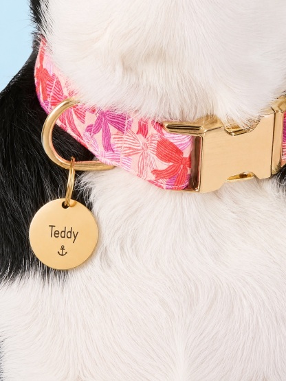 Circle Pet ID Tag: Anchor Icon
