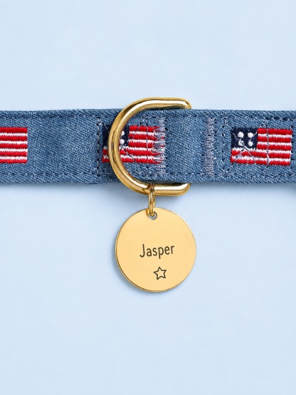 American Flag Embroidered Dog Collar
