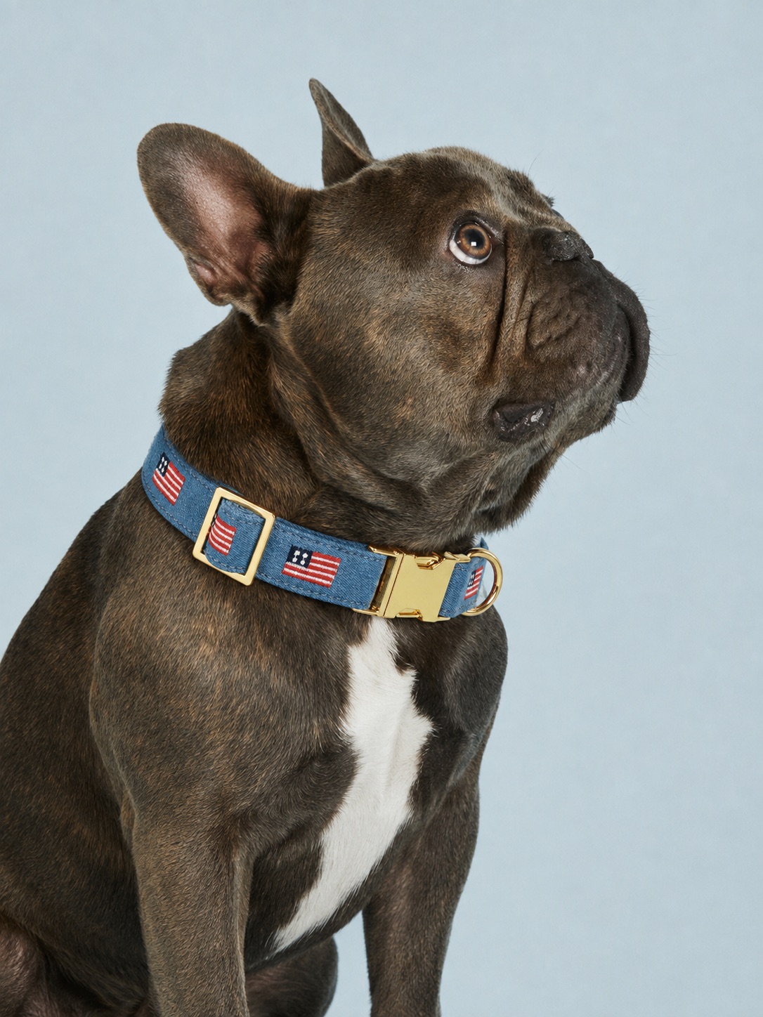 American Flag Embroidered Dog Collar