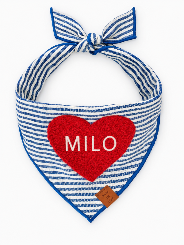 Heart Applique Dog Bandana