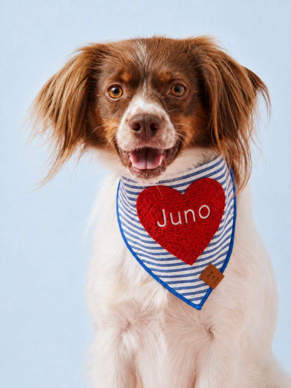 Heart Applique Dog Bandana