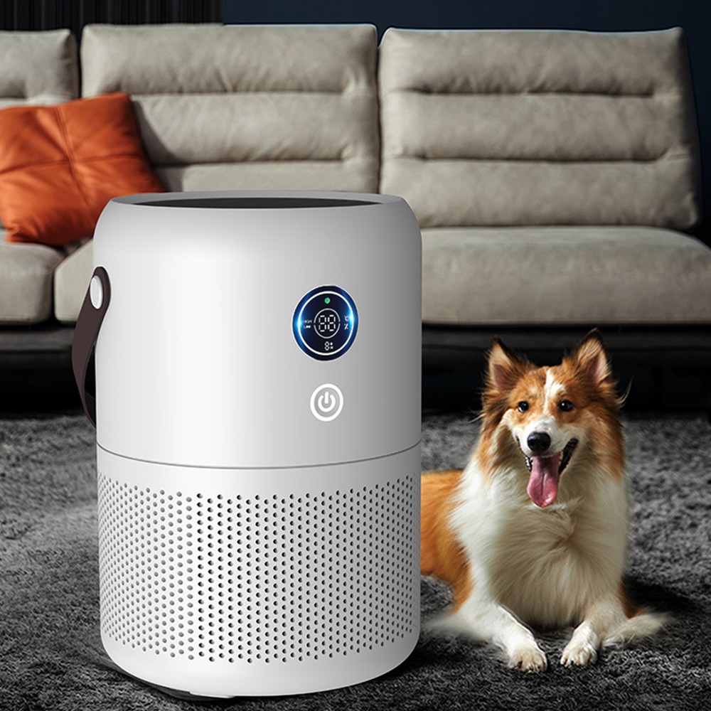 USB AIR PURIFIER