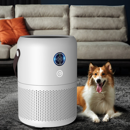 USB AIR PURIFIER