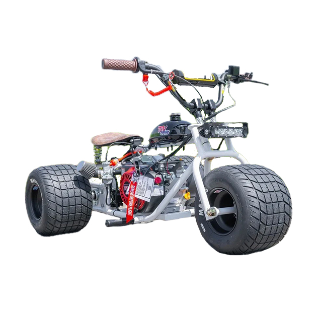💥The best companion for outdoor cross-country💥