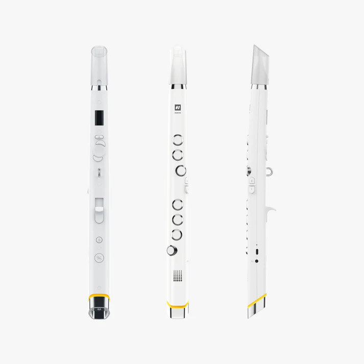 Electronic flute-Aldronix