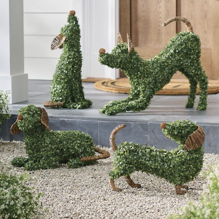 Faux Boxwood Dog锛孡ouie-Aldronix