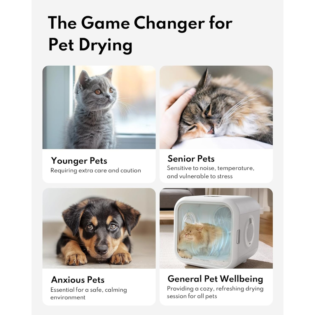 Automatic Cat Dryer Box-Aldronix