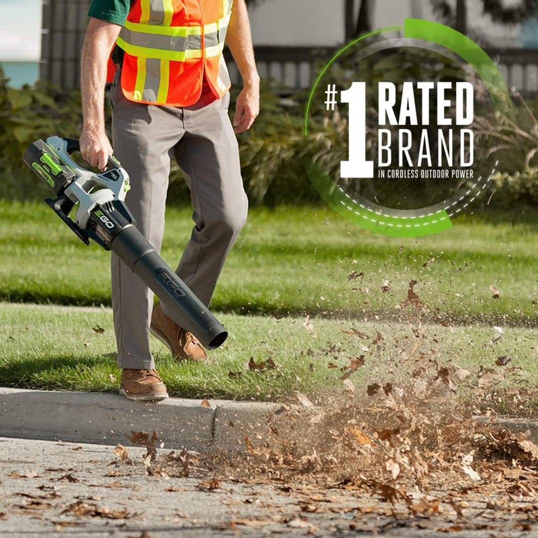 Cordless snow and leaf blower-Aldronix