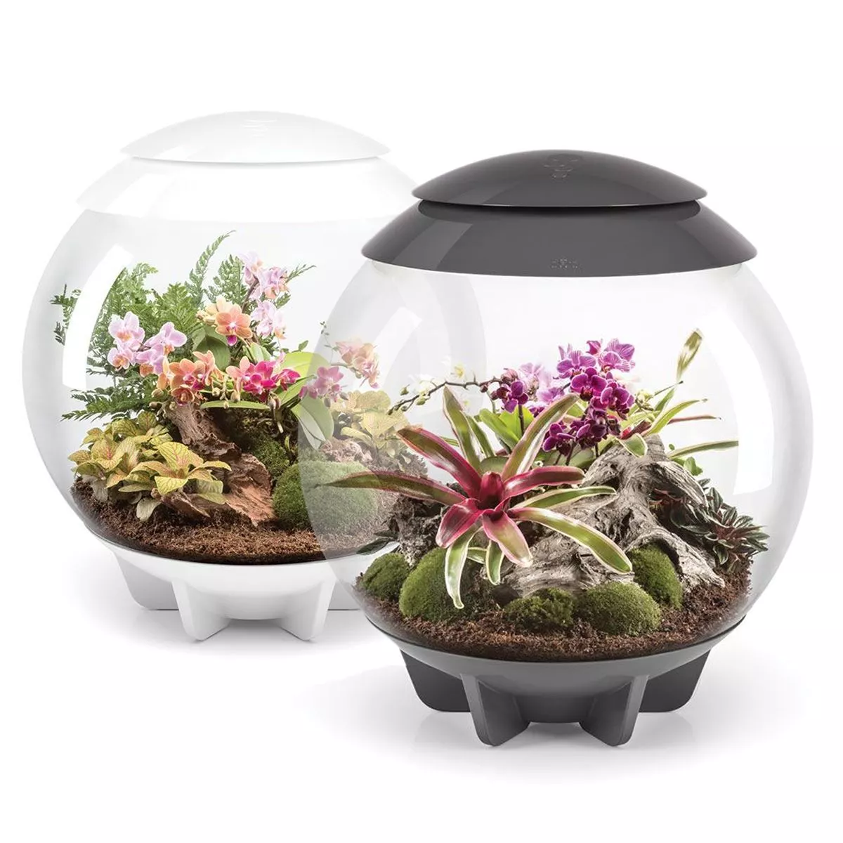 Automatic Terrarium-Aldronix