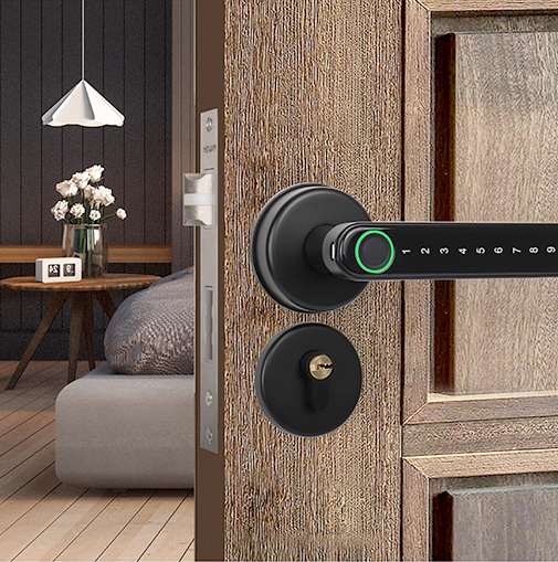 Smart WiFi Remote Controlled Door Lock-Aldronix