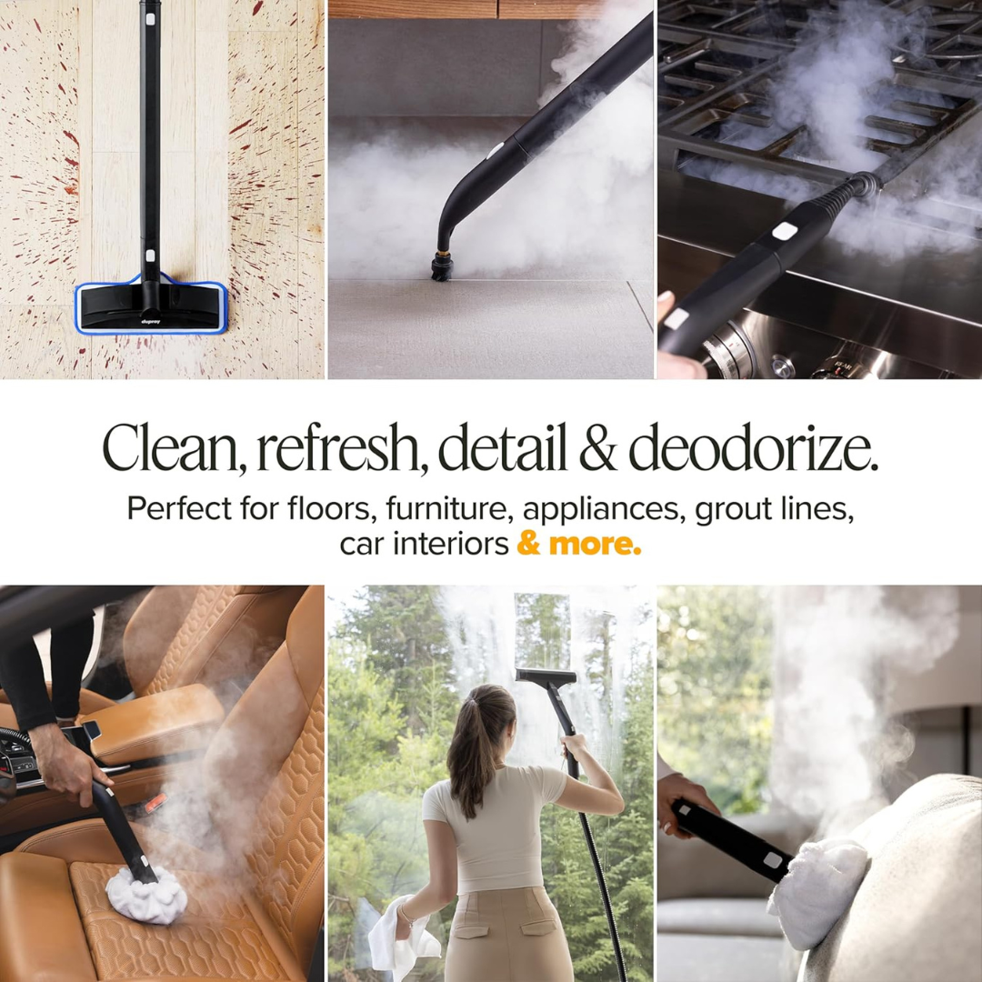 Steam Cleaner-Aldronix
